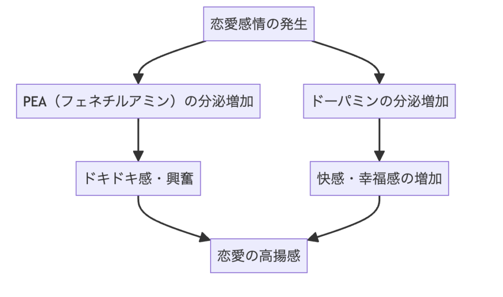 ドキドキする仕組み